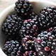 Which Berries Are the Healthiest, and What Are the Benefits?