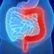 What Is the Difference Between IBD and IBS?