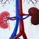 What Are the 5 Stages of Chronic Kidney Disease?