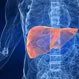 How Long Does a Liver Biopsy Procedure Take?