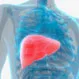 Can You Live Without a Liver?